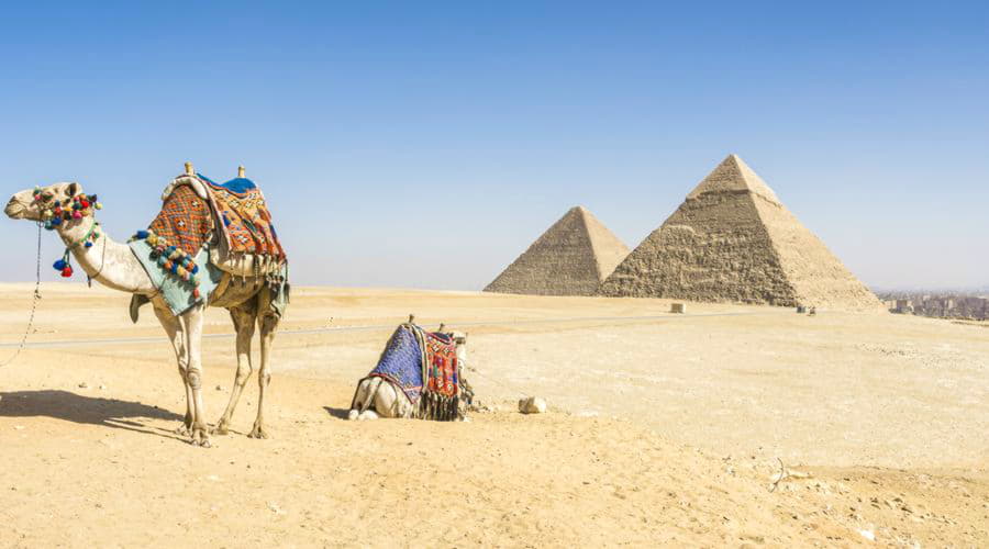 De mest populære biludlejningsaftaler i Giza